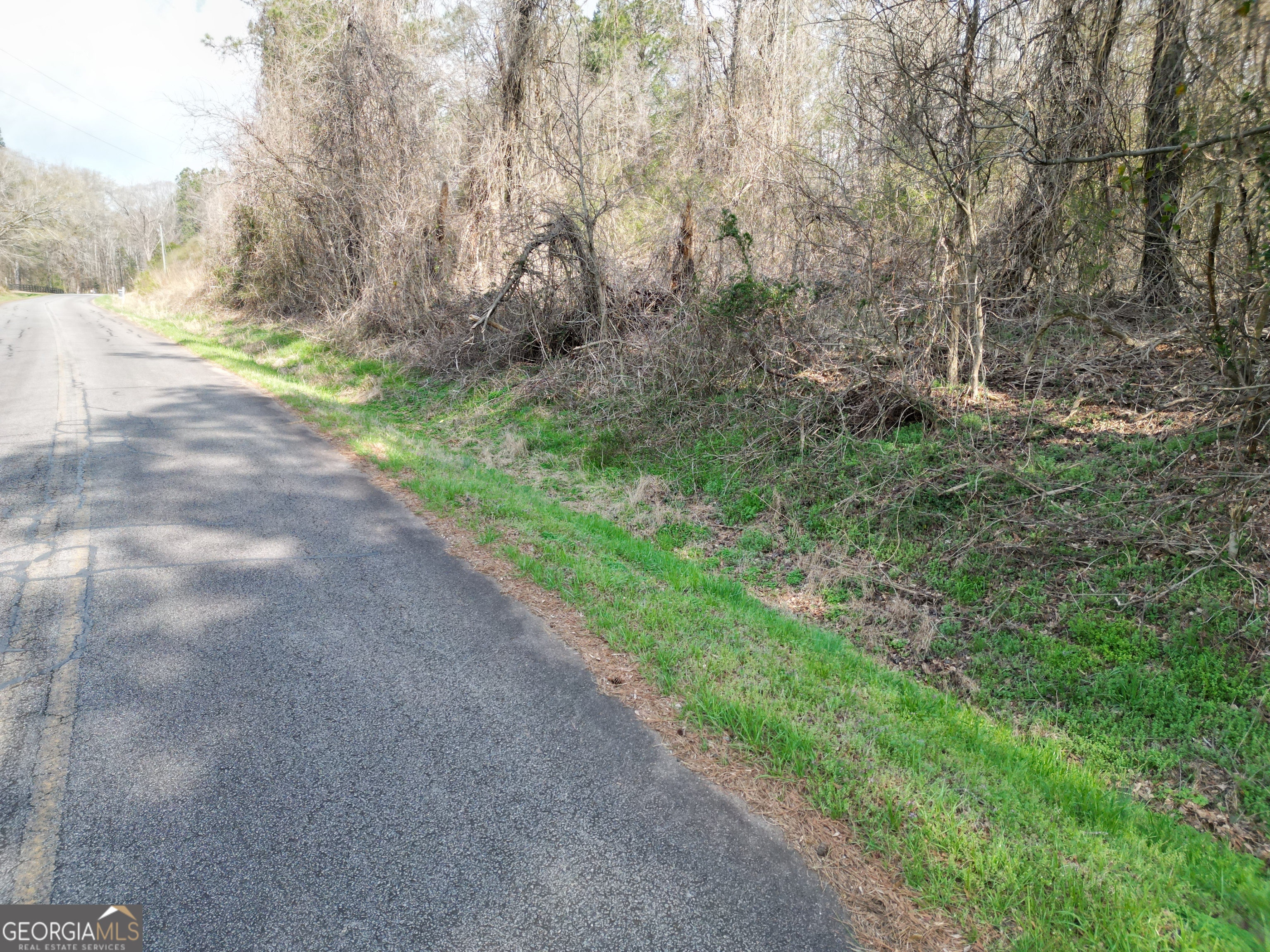 0 Saffold Road Buckhead, GA 30625 - Photo 4 of 9