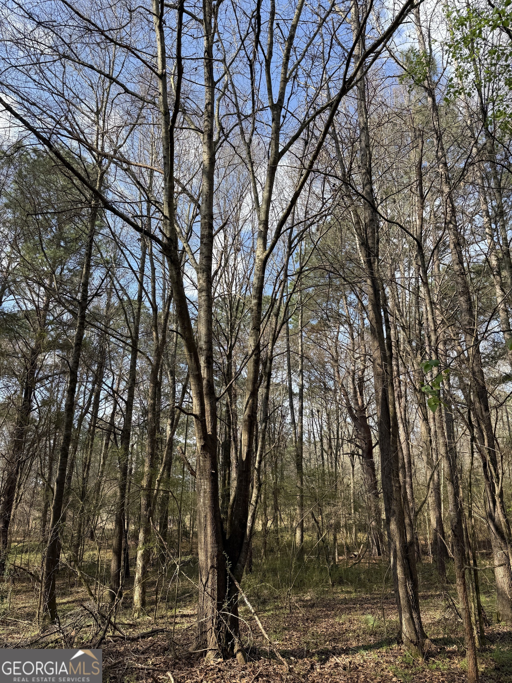 0 Saffold Road Buckhead, GA 30625 - Photo 5 of 9