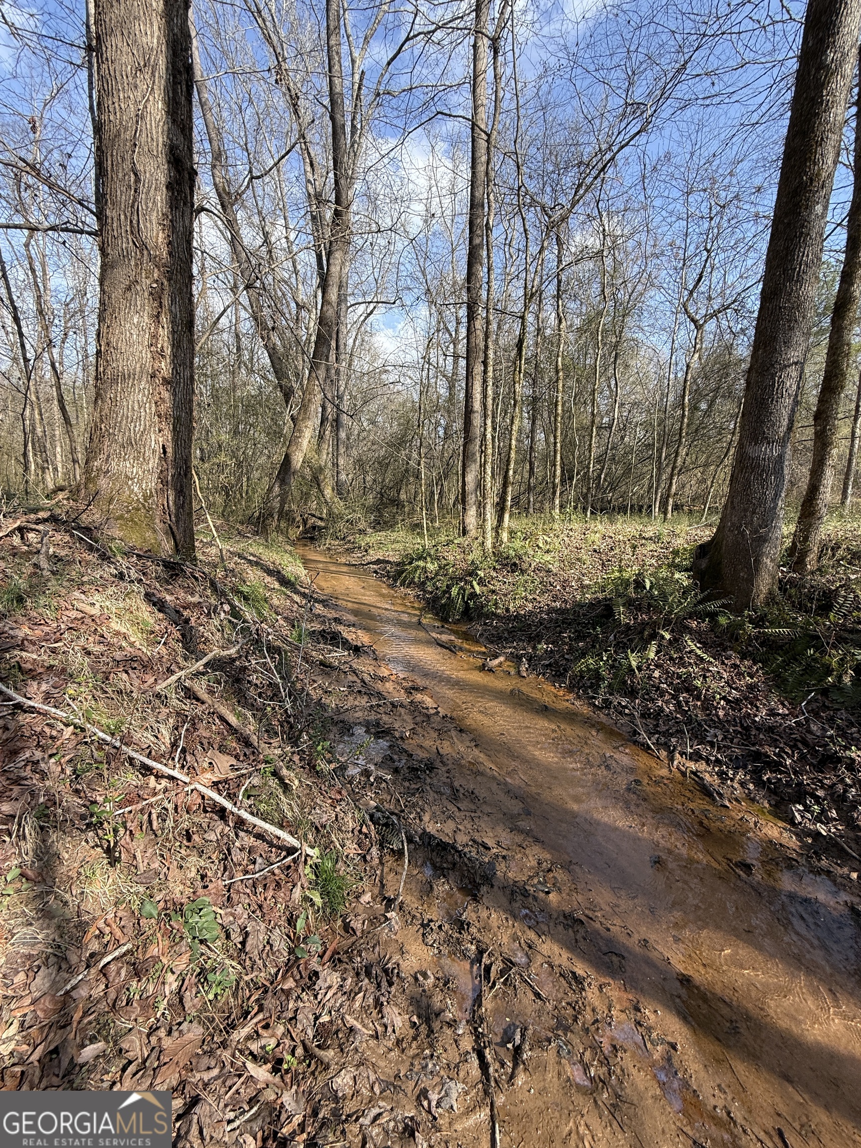 0 Saffold Road Buckhead, GA 30625 - Photo 7 of 9