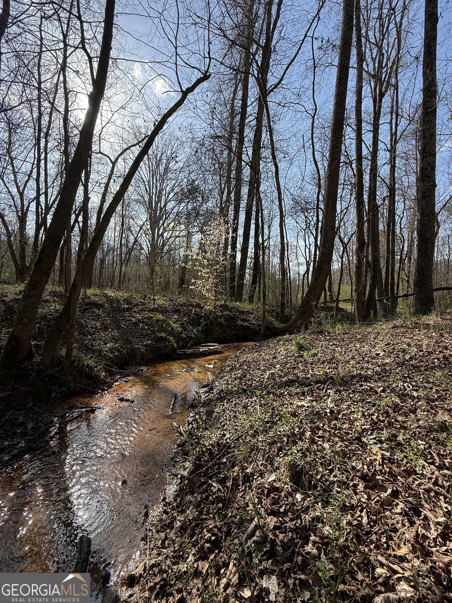 0 Saffold Road Buckhead, GA 30625 - Photo 8 of 9