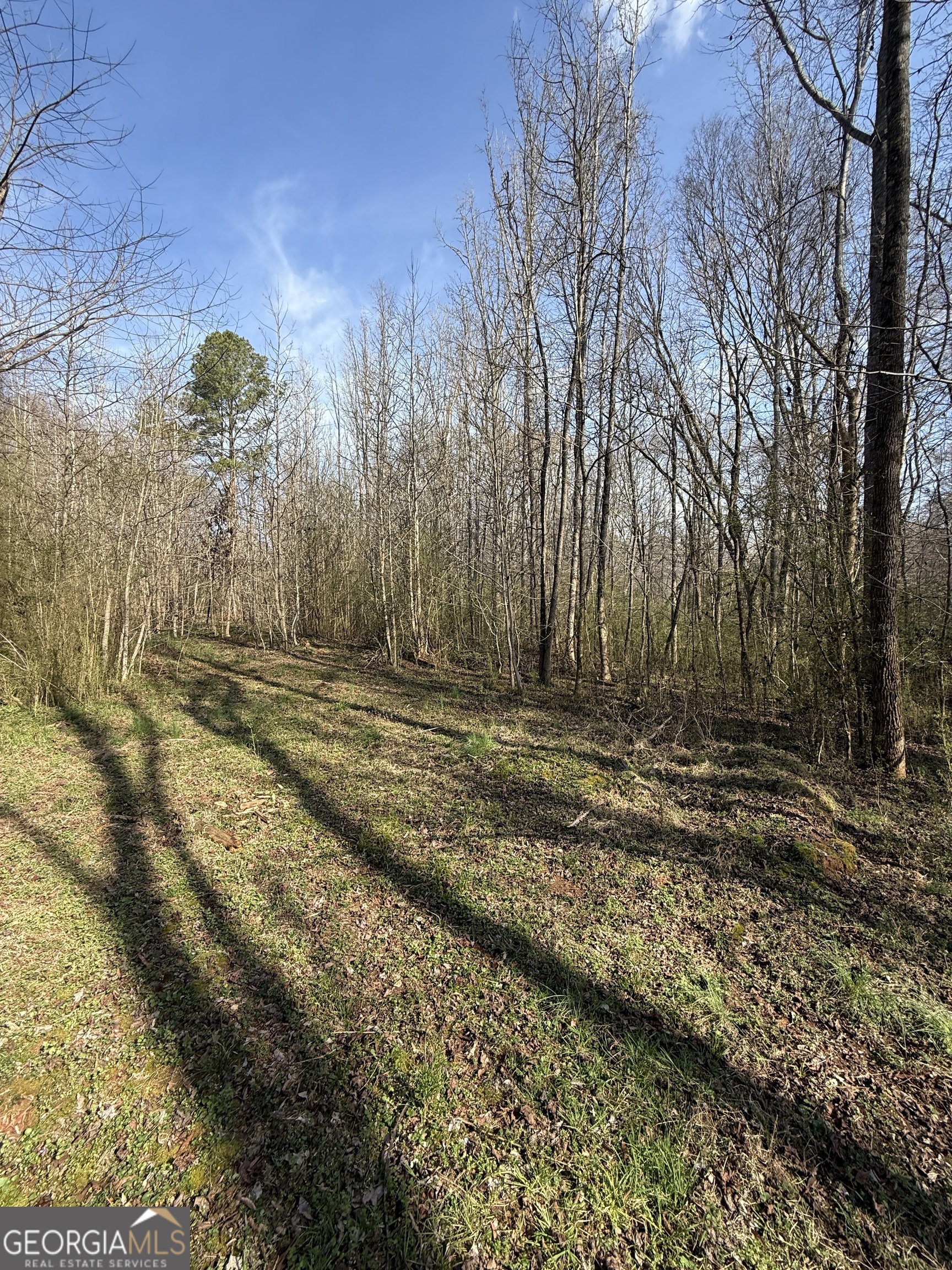 0 Saffold Road Buckhead, GA 30625 - Photo 9 of 9