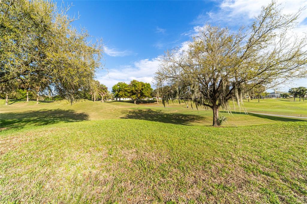 13265 Southeast 91st Court Road Summerfield, FL 34491 - Photo 24 of 24