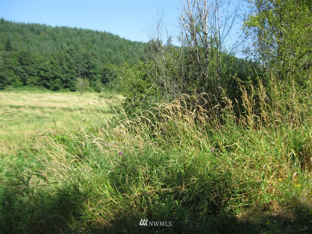 21344 Zenkner Valley Road Centralia, WA 98531 - Photo 23 of 23 Gallery Image 23