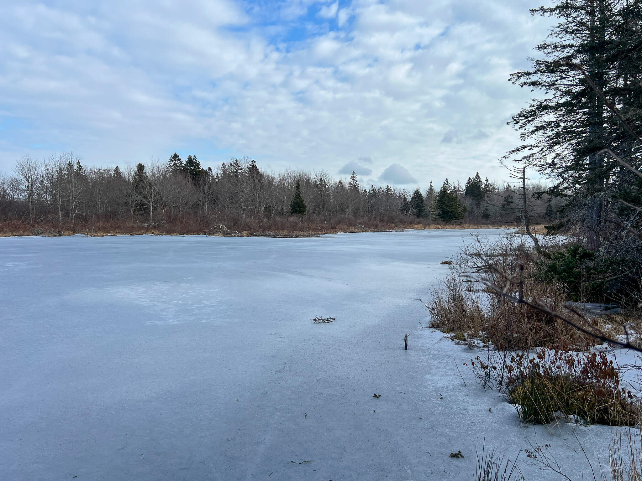 M4-l117 Southwest Crk Road Jonesport, ME 04649 - Photo 6 of 18 IMG_8376