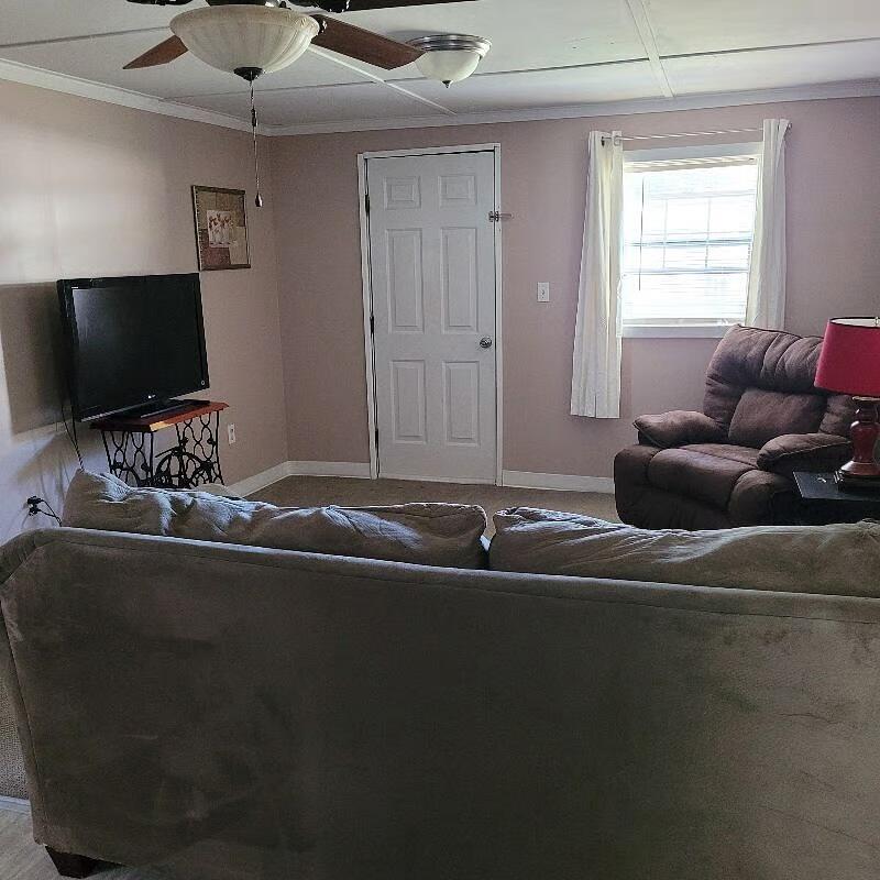 587 Norway Road Orangeburg, SC 29115 - Photo 39 of 45 319374_1_8332758-full