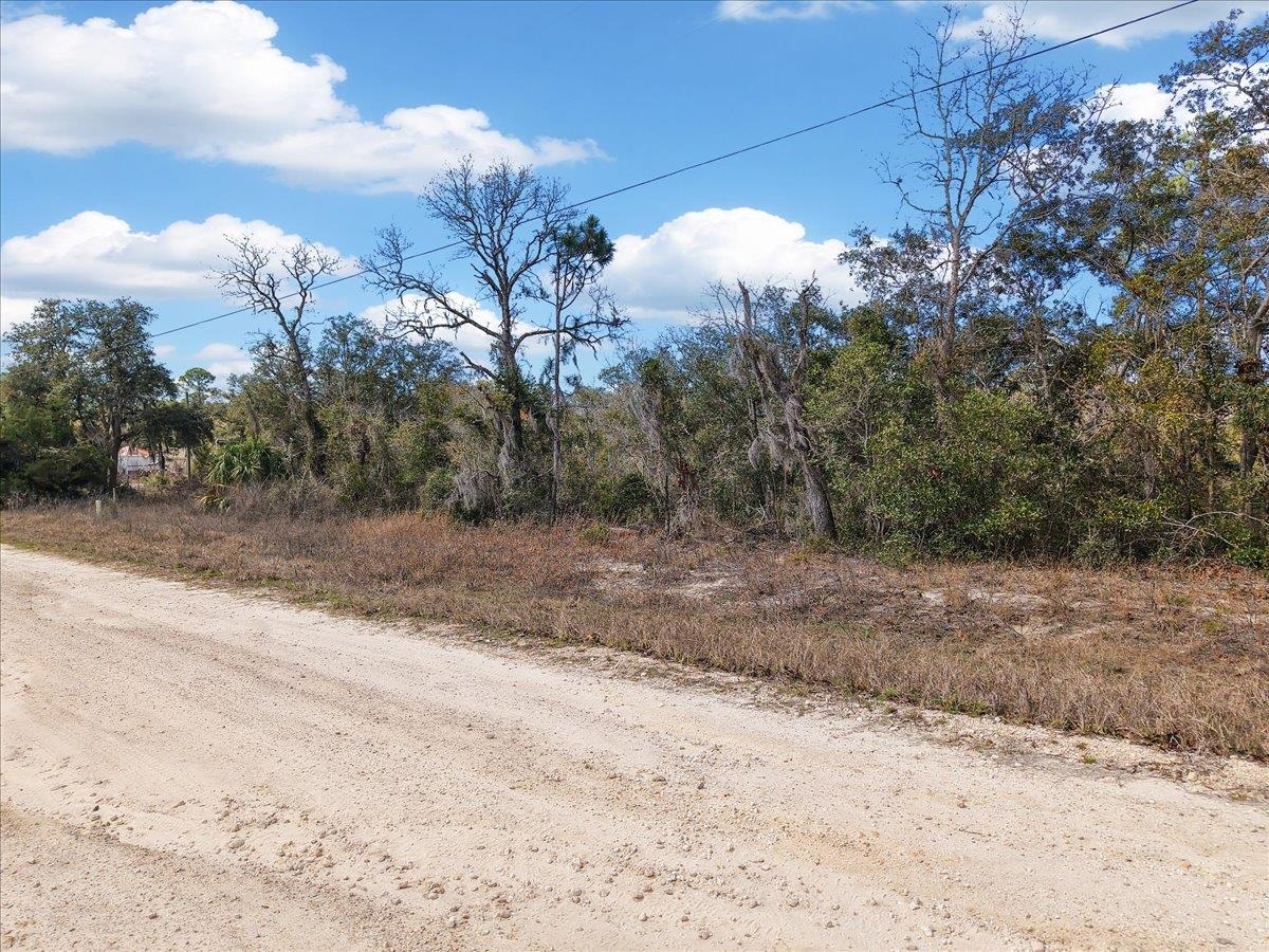 0 Fiddlers Way Perry, FL 32348 - Photo 16 of 16