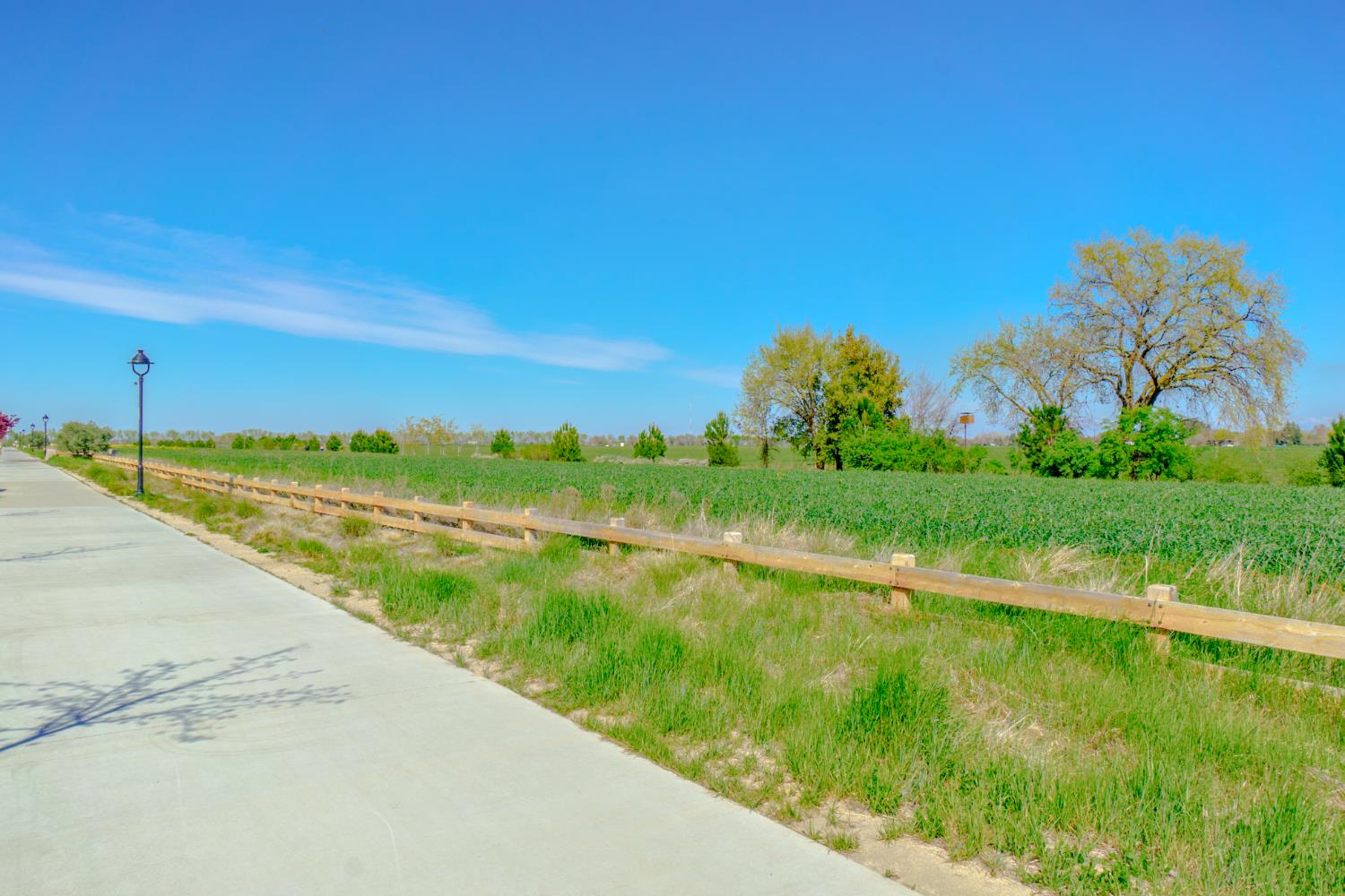 2248 Cannery Loop Davis, CA 95616 - Photo 43 of 50 Cannery Loop Trail
