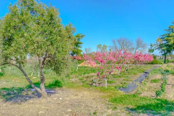 $949,000 | 2248 Cannery Loop, Davis, CA 95616