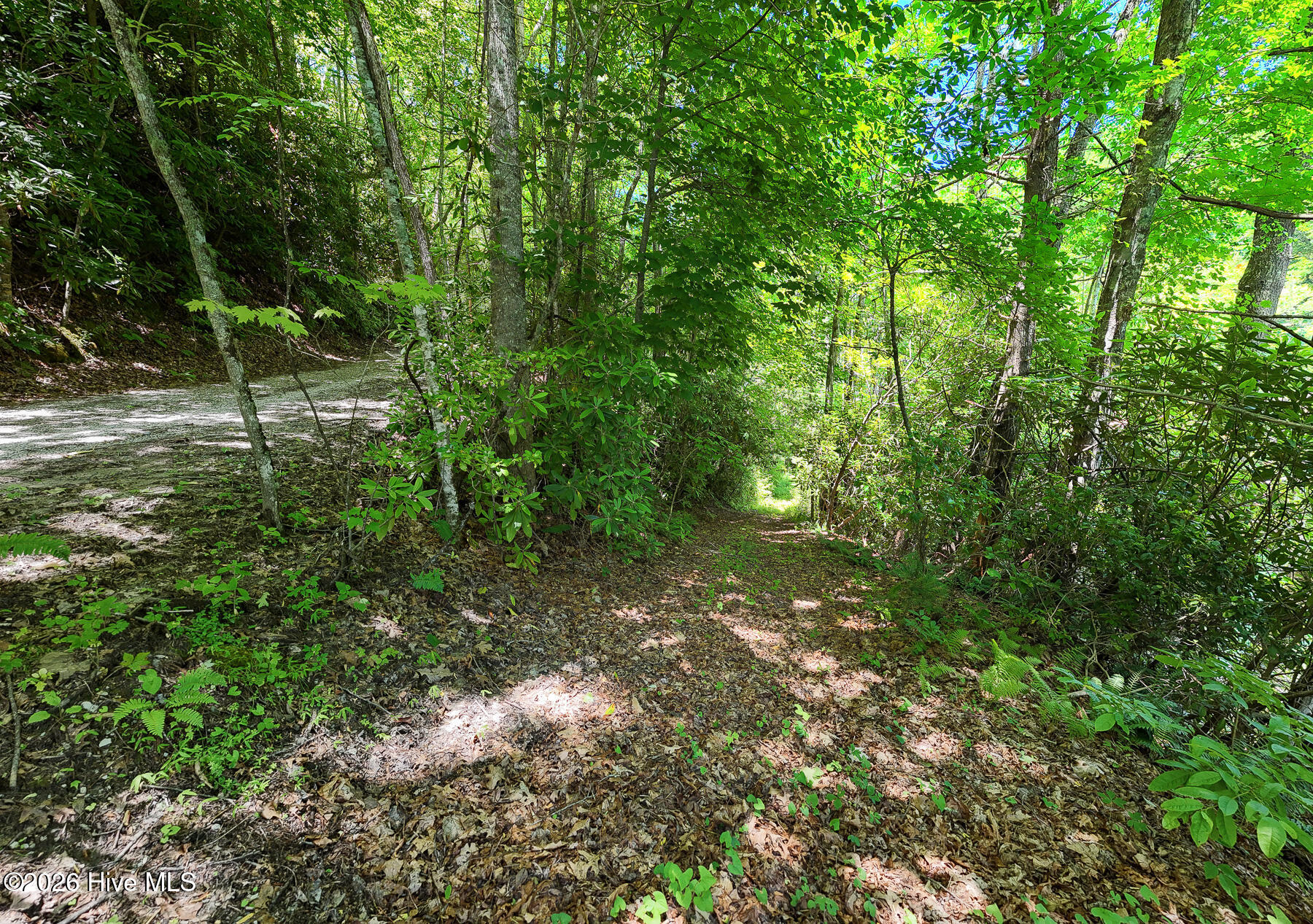 0 Old Lodge Road Topton, NC 28781 - Photo 14 of 18