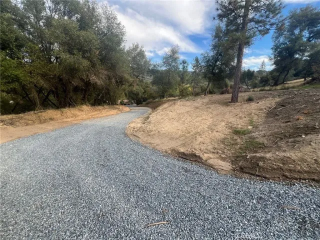 a view of a yard with trees
