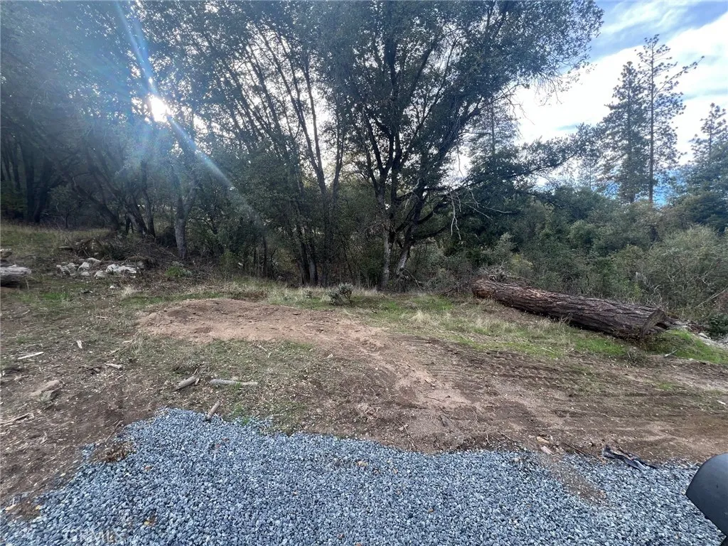 0 Hangtree Lane Oakhurst, CA 93644 - Photo 8 of 8 a view of a forest with trees in the background