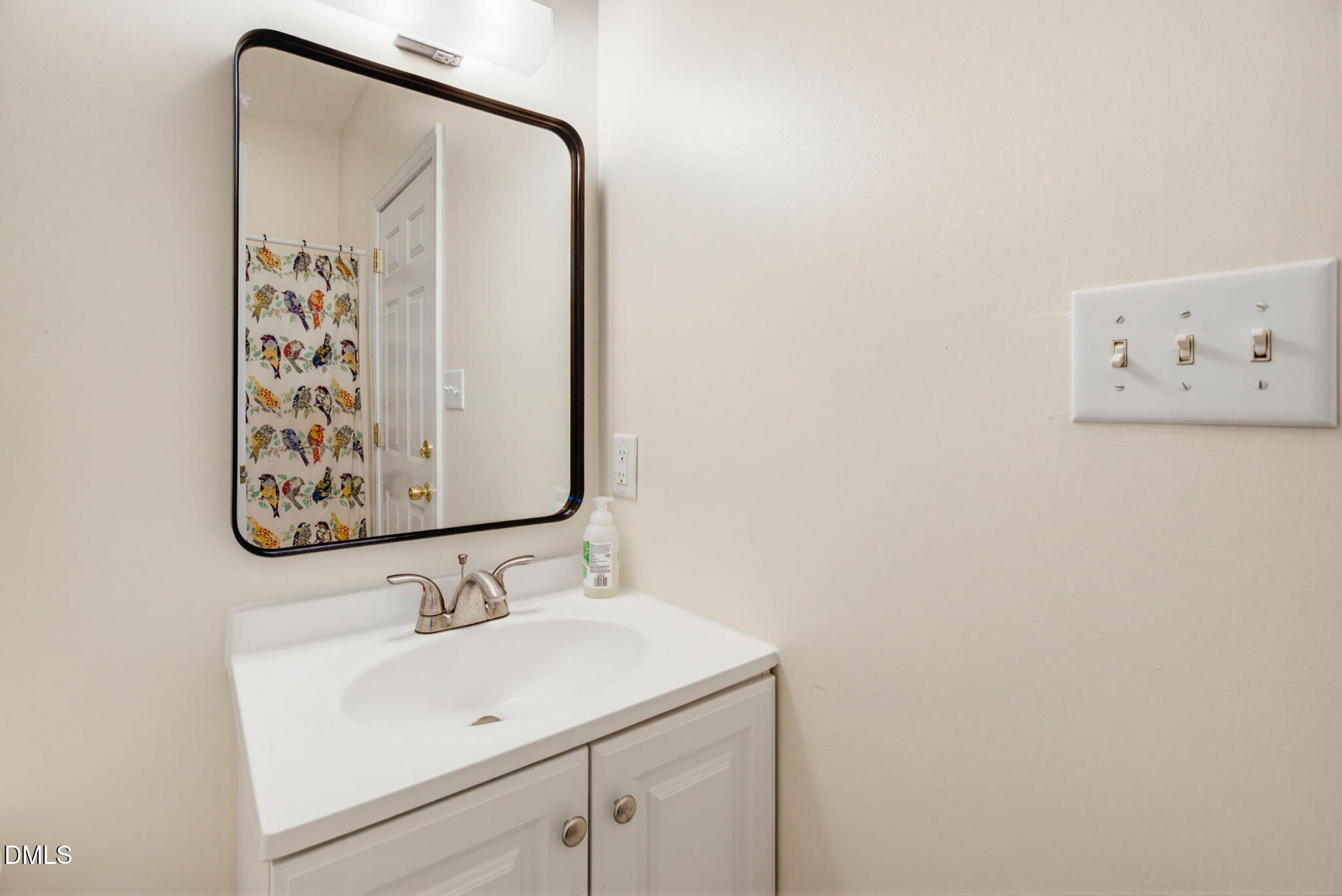 2533 Big Sky Lane Raleigh, NC 27615 - Photo 22 of 40 a bathroom with a sink and mirror