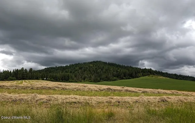 $345,000 | 352 Camarillo Lane, Plummer, ID 83851