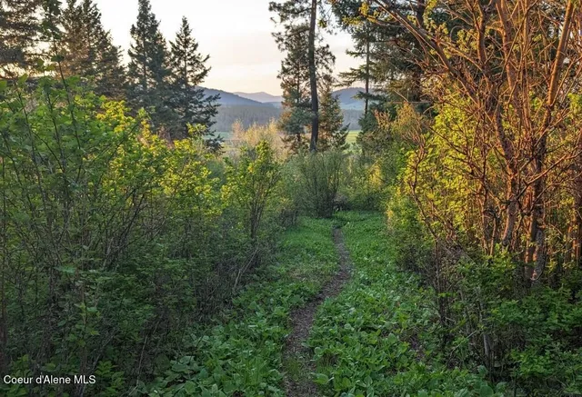 $345,000 | 352 Camarillo Lane, Plummer, ID 83851