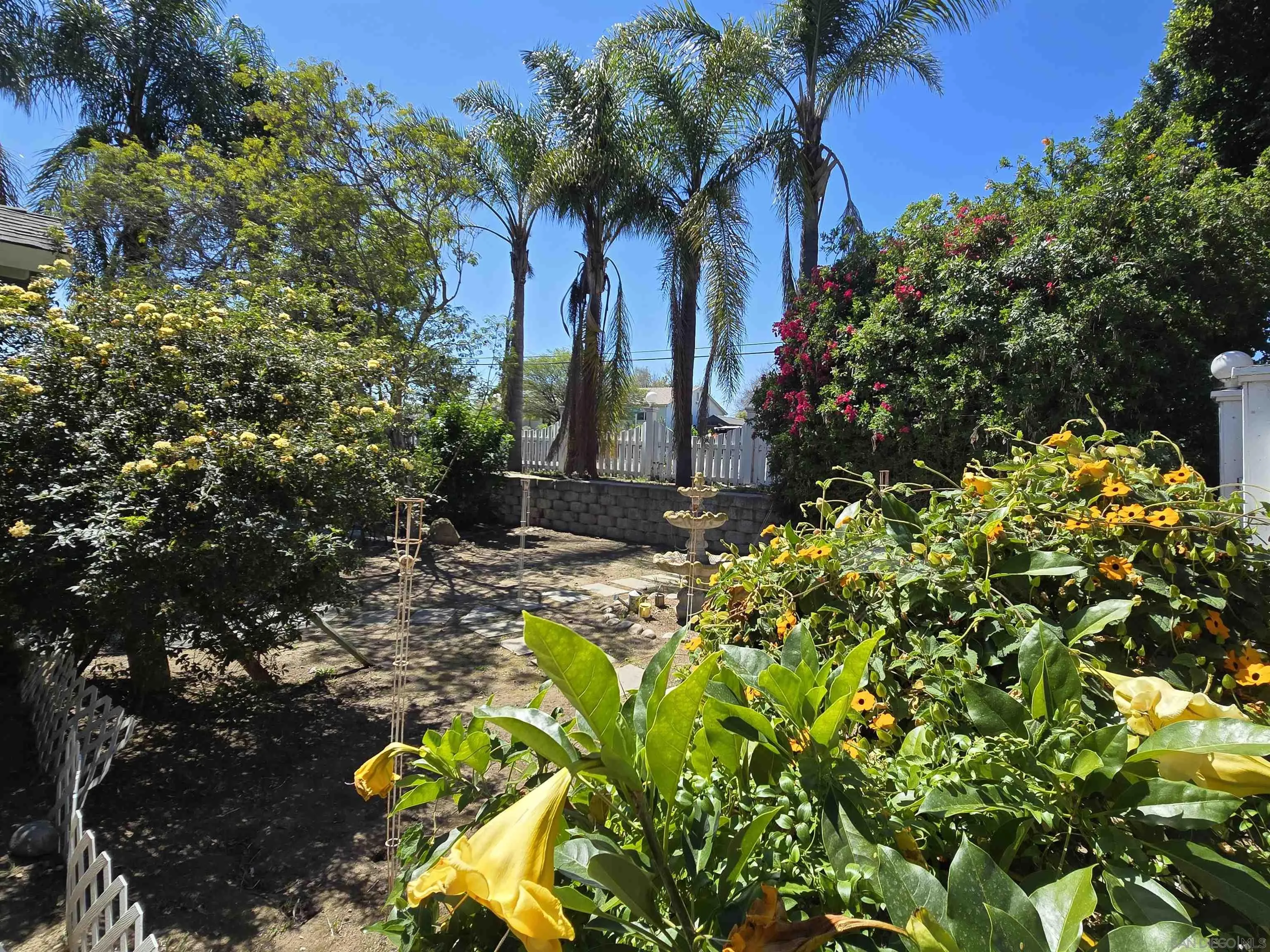 2315 Berry Street Lemon Grove, CA 91945 - Photo 12 of 13 Front yard