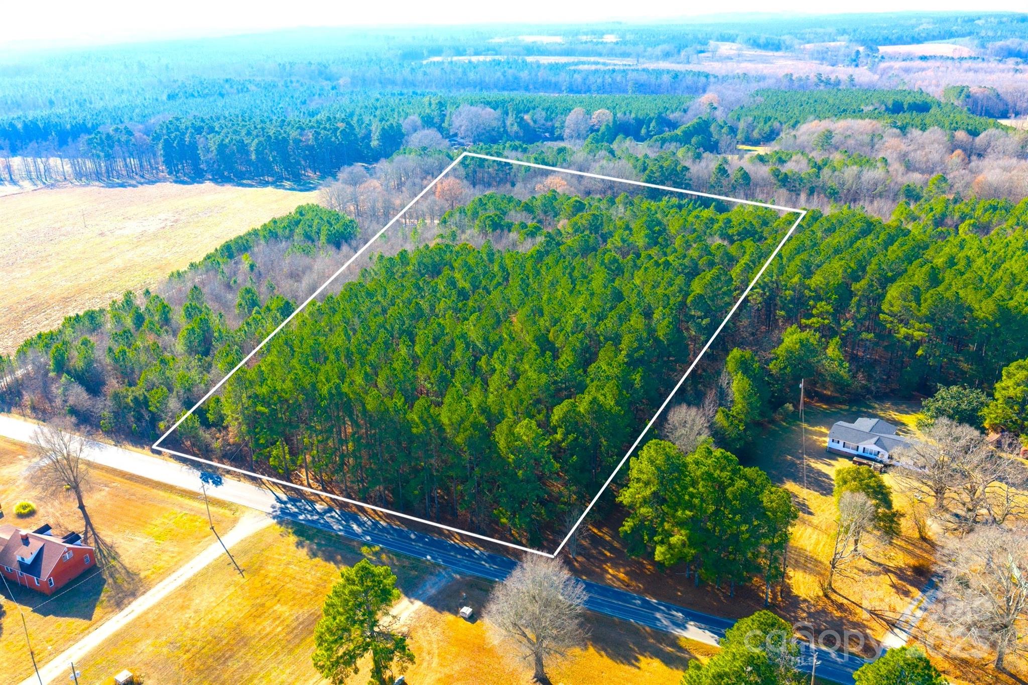 0 Prison Camp Road Polkton, NC 28135 - Photo 2 of 8 a view of a backyard with plants