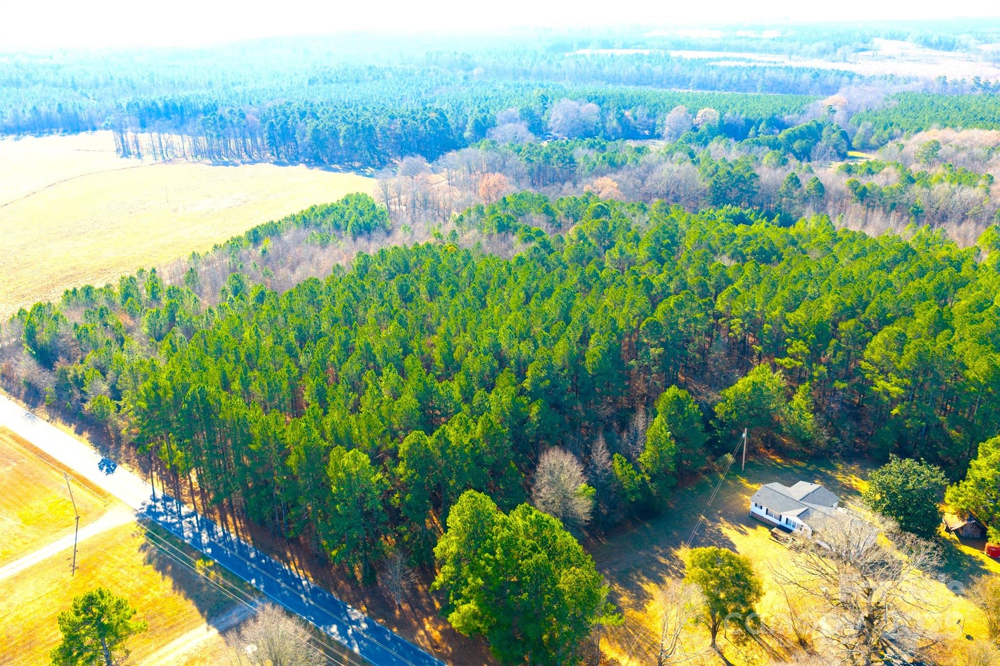 0 Prison Camp Road Polkton, NC 28135 - Photo 5 of 8 a view of a lake with a big yard