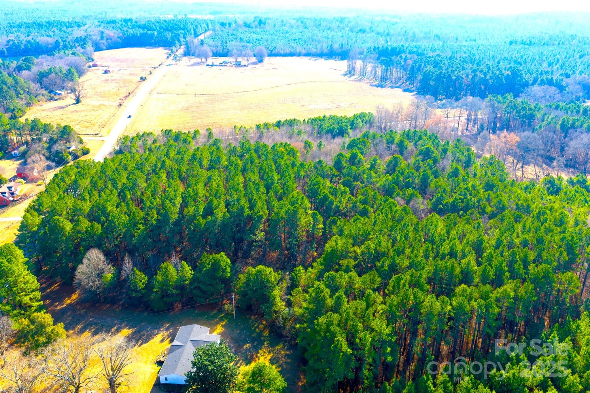 0 Prison Camp Road Polkton, NC 28135 - Photo 6 of 8 a view of a lake with a yard