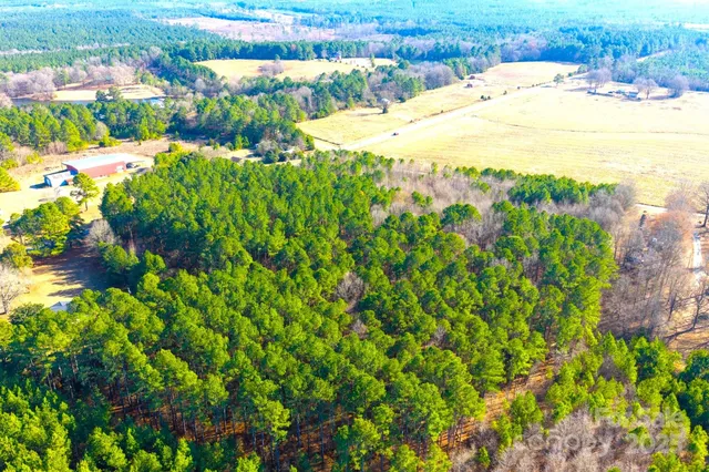 a view of a yard with plants