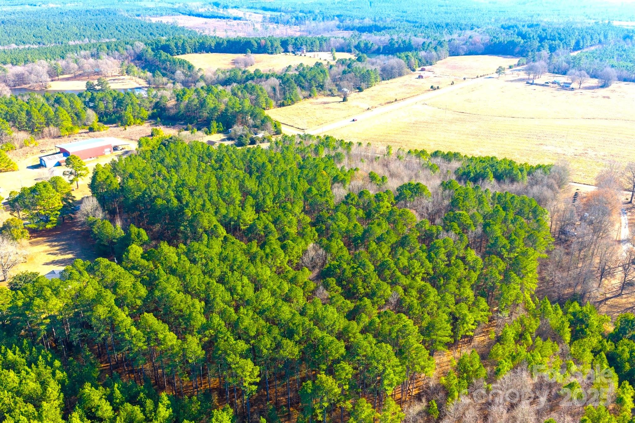 0 Prison Camp Road Polkton, NC 28135 - Photo 7 of 8 a view of a yard with plants