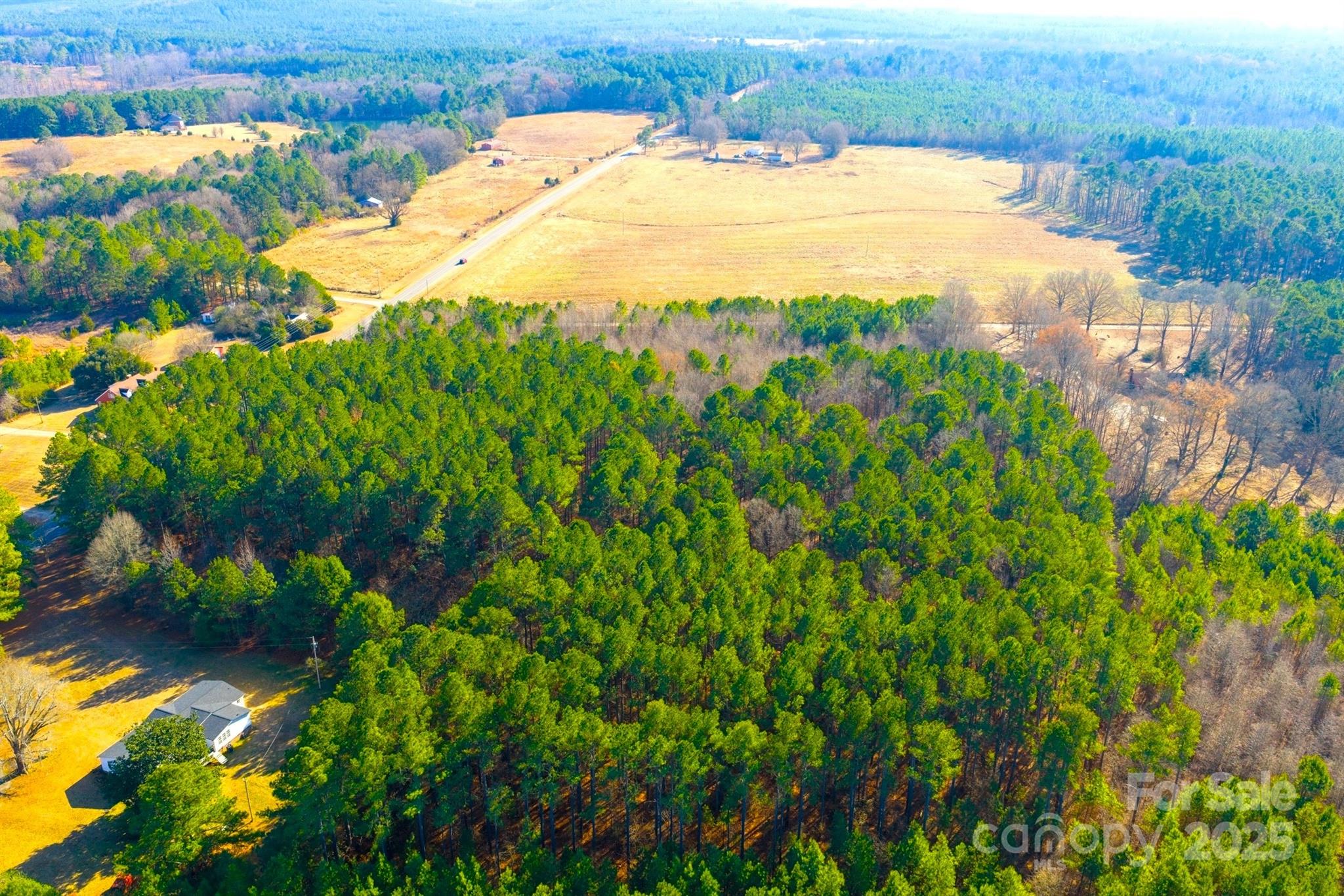 0 Prison Camp Road Polkton, NC 28135 - Photo 8 of 8 a view of a backyard of the house
