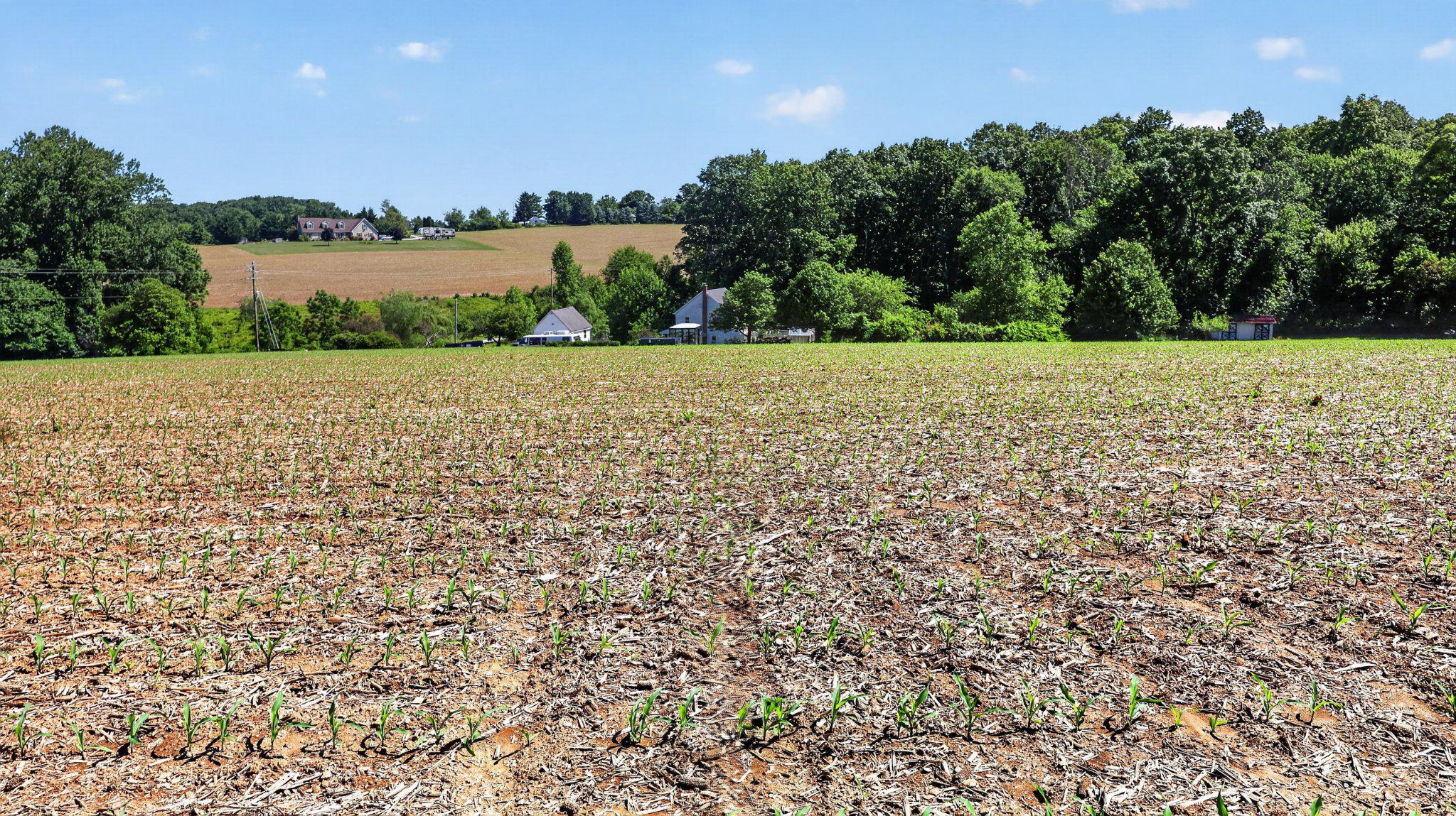 8042 Bobs Road Felton, PA 17322 - Photo 38 of 47 Tillable land, W end of property facing NE