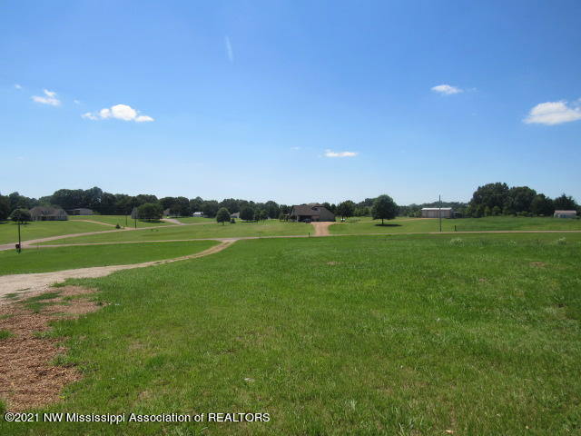 116 Waverly Road Senatobia, MS 38668 - Photo 21 of 23 IMG_4981