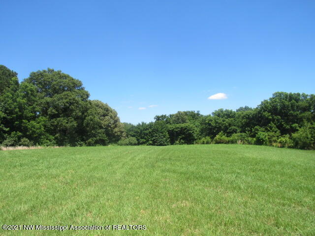 116 Waverly Road Senatobia, MS 38668 - Photo 23 of 23 IMG_4985