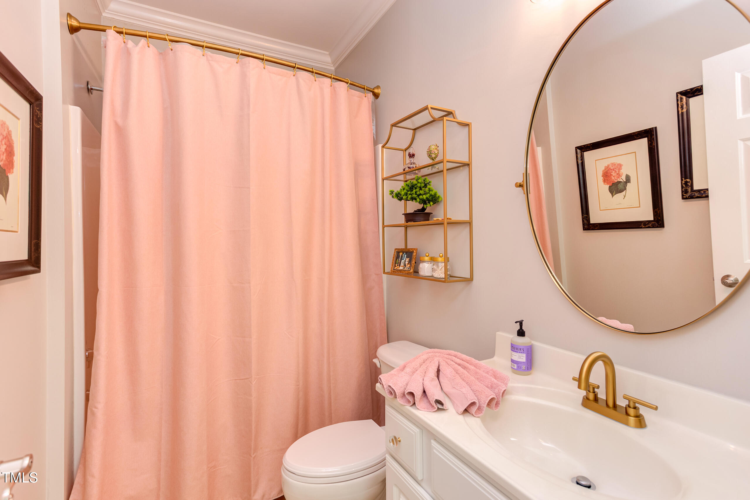 4191 Bobbitt Road Kittrell, NC 27544 - Photo 44 of 89 a bathroom with a sink vanity and toilet