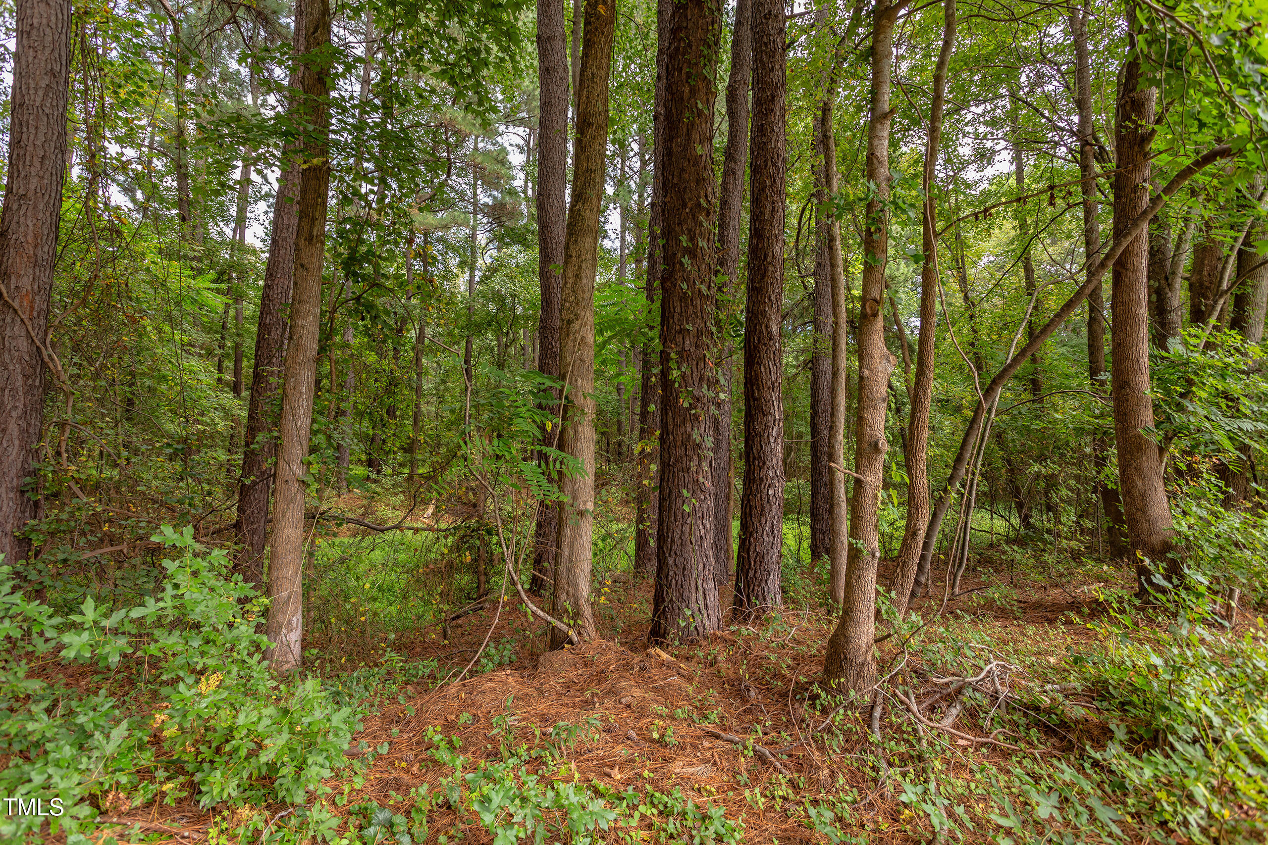 4191 Bobbitt Road Kittrell, NC 27544 - Photo 66 of 89 IMG_6104