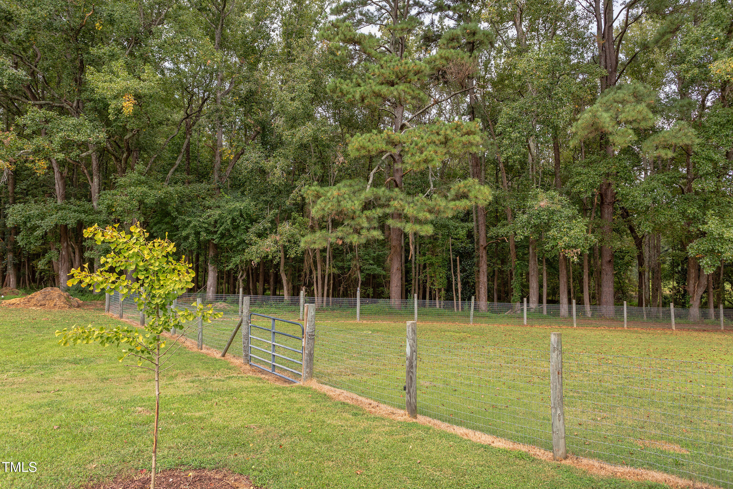 4191 Bobbitt Road Kittrell, NC 27544 - Photo 75 of 89 IMG_6116