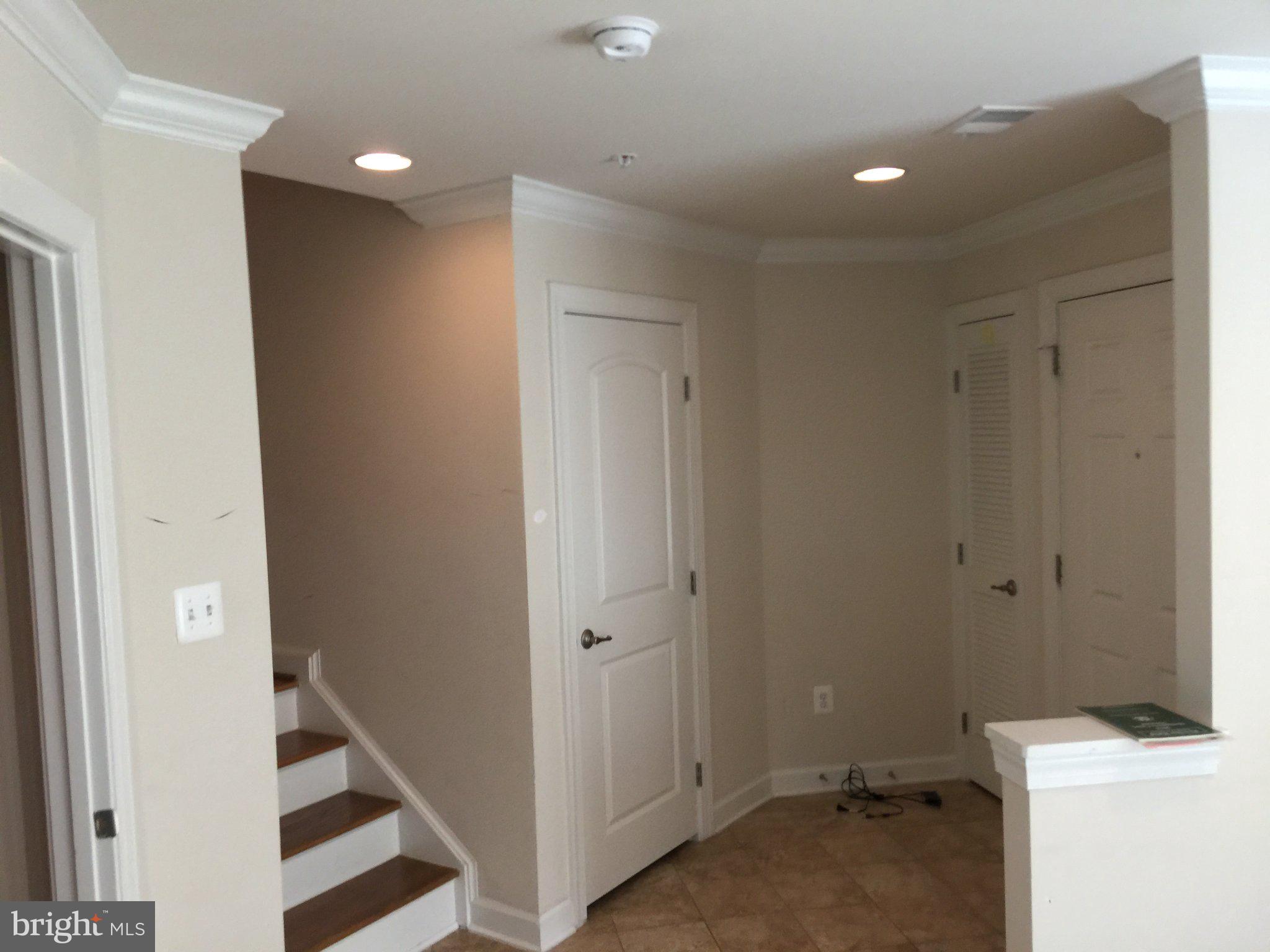 542 Rudbeckia Place Gaithersburg, MD 20878 - Photo 3 of 18 Inviting entryway with elegant details.