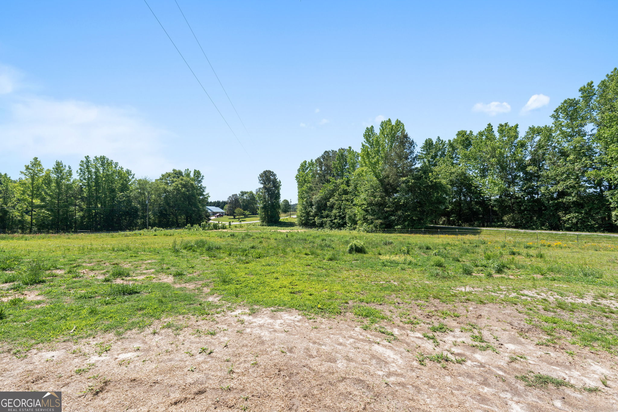 49 Frost Road Bowdon, GA 30108 - Photo 42 of 60 a view of a field with plants and trees in the background