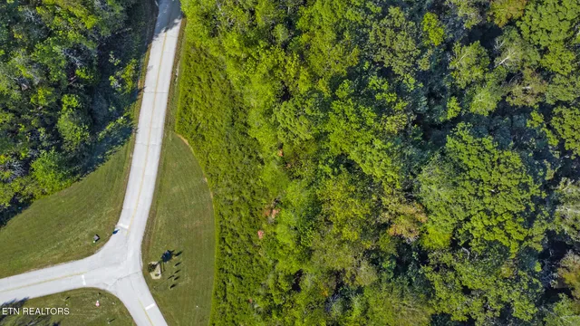 $15,900 | Lot 34 Crystal Springs Road, Rockwood, TN 37854