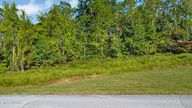 $15,900 | Lot 34 Crystal Springs Road, Rockwood, TN 37854