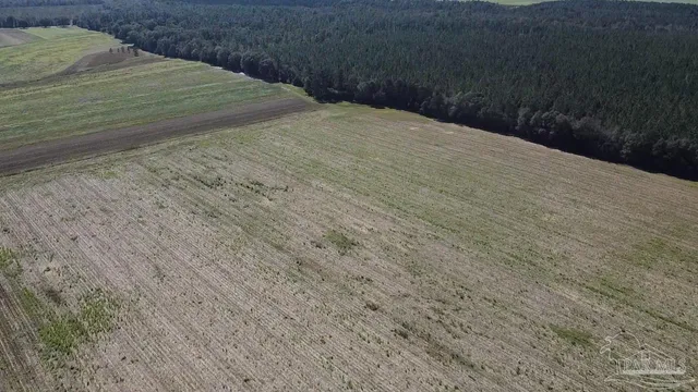 a bedroom with a bed