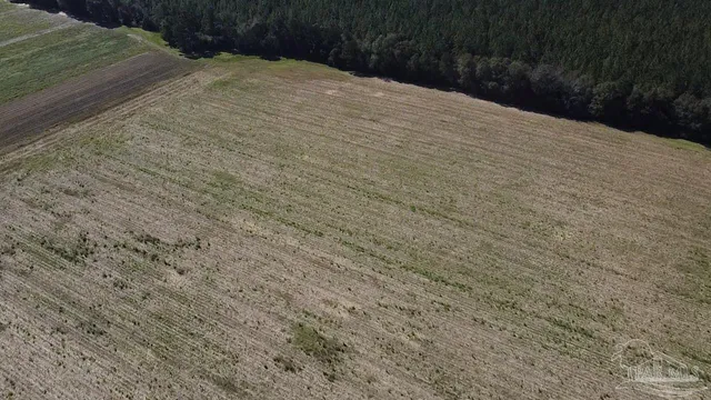 a view of basketball court