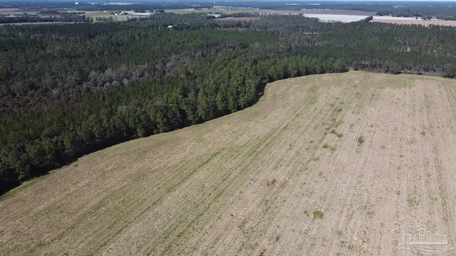 a view of a dry yard
