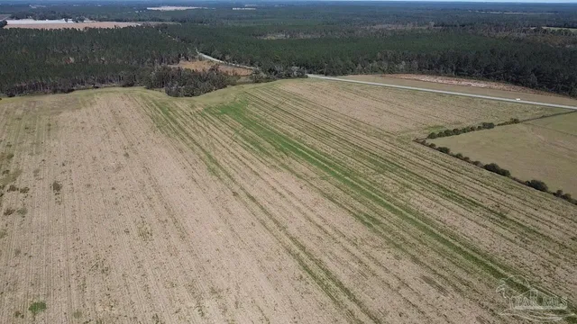 a view of a terrace view