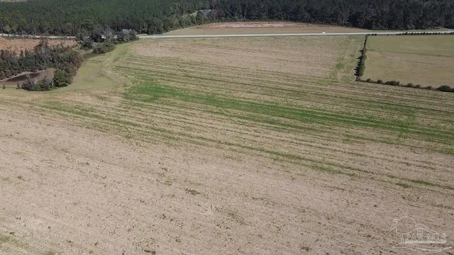 a view of a dry yard with trees and stairs