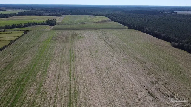 a view of a dry yard