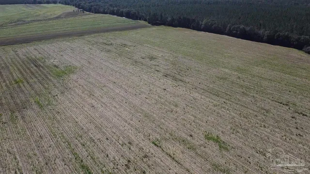a view of a backyard of the house