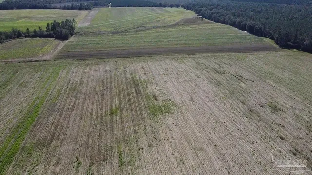 a view of outdoor space