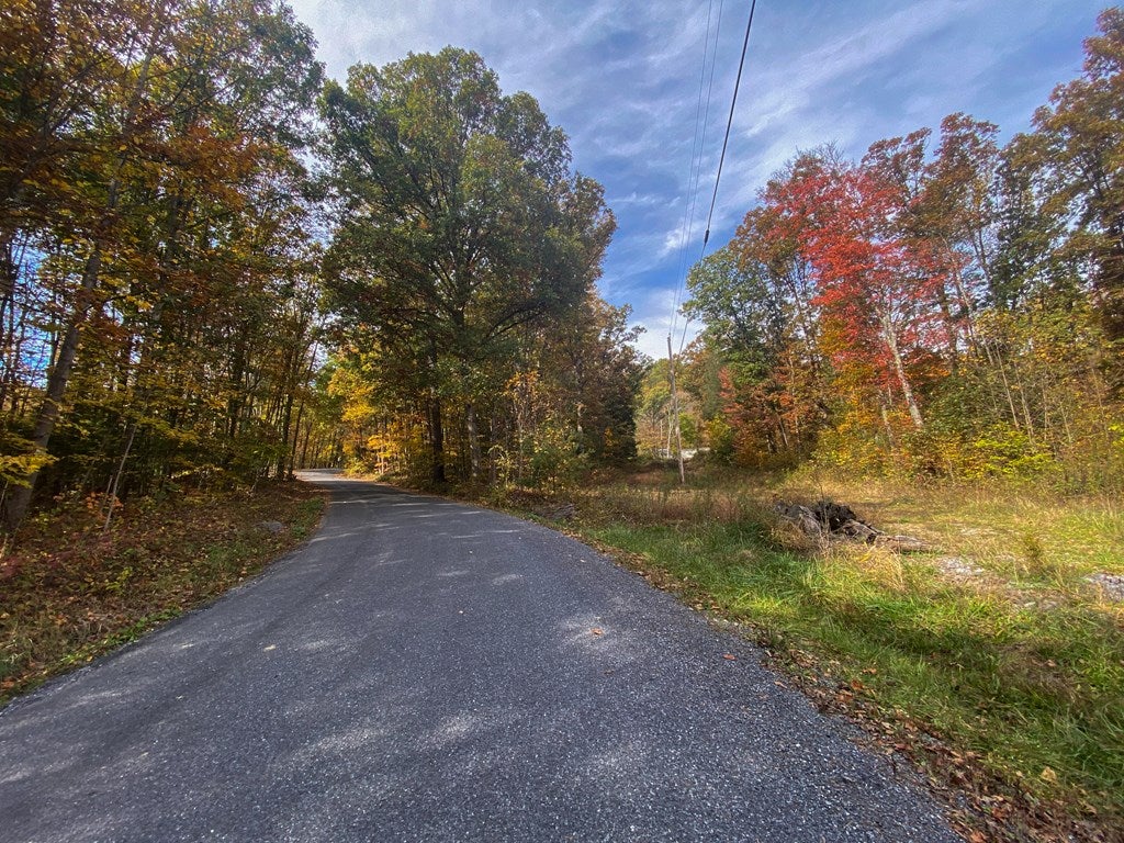 0 Nebo Road Mount Union, PA 17260 - Photo 5 of 13 Gallery Image 5
