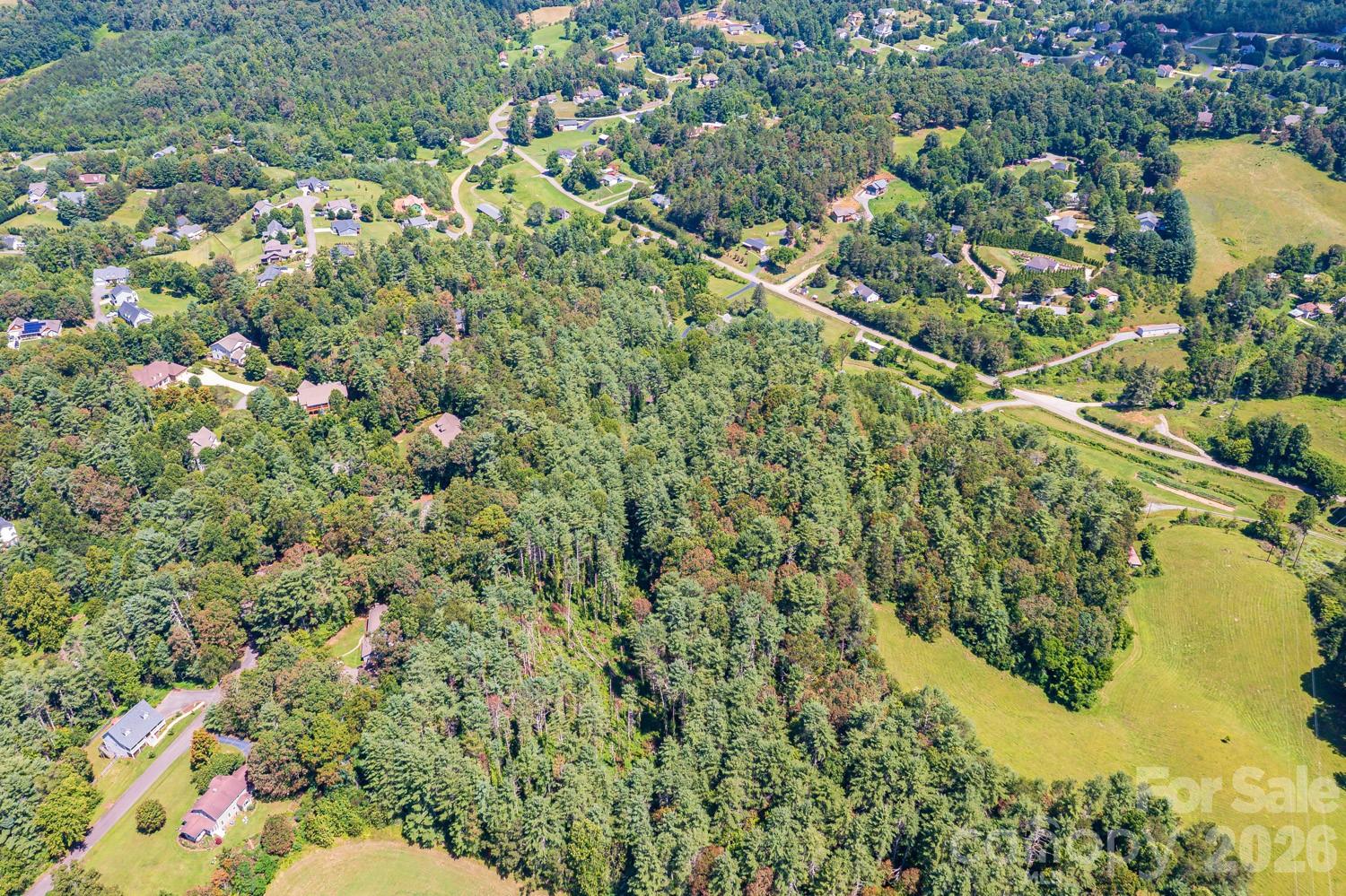 160 McLean Road Weaverville, NC 28787 - Photo 25 of 25