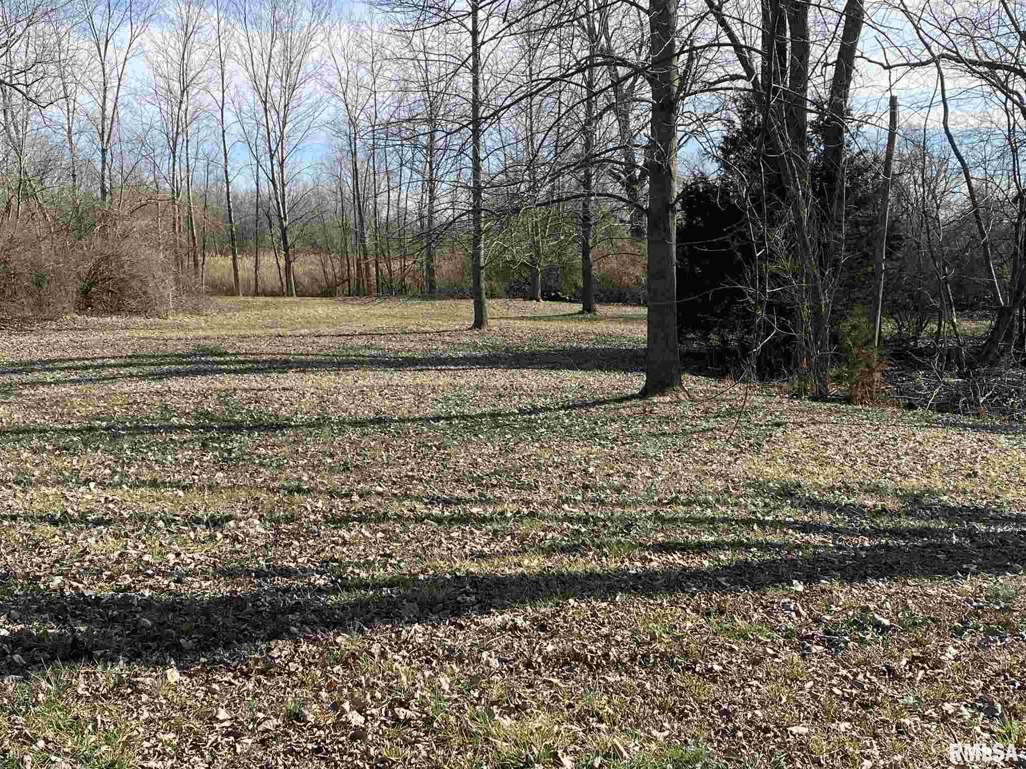 713 Chamness Road Elkville, IL 62932 - Photo 6 of 21 Gallery Image 6