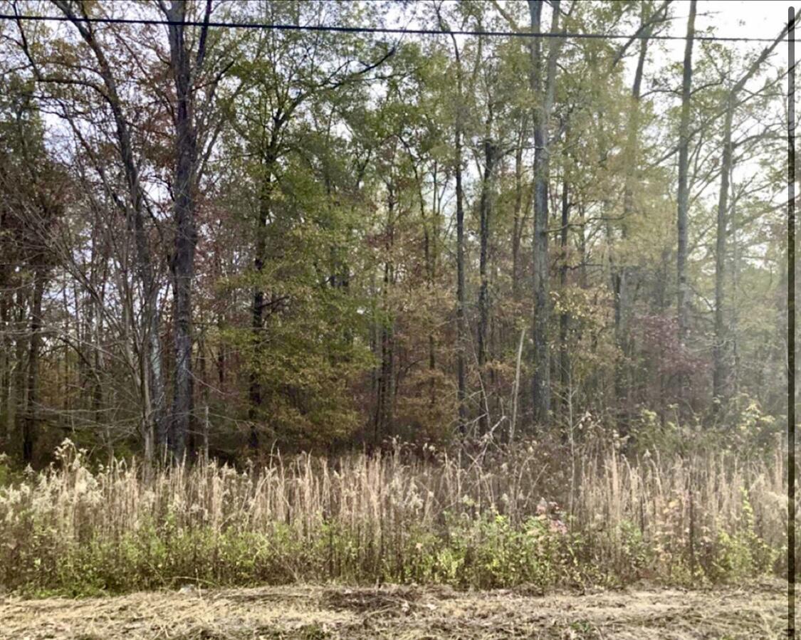 0 Southwest Carbondale Road Dalton, GA 30721 - Photo 5 of 21 IMG_3280