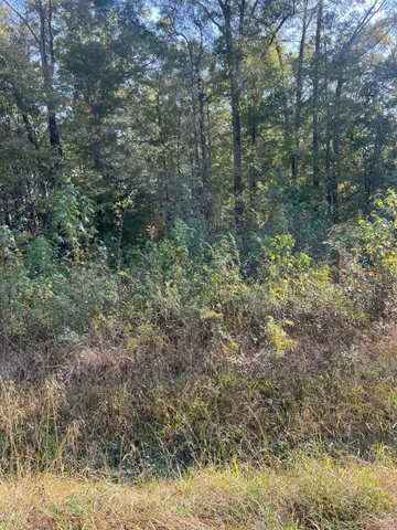 $26,000 | 0 Southwest Carbondale Road, Dalton, GA 30721