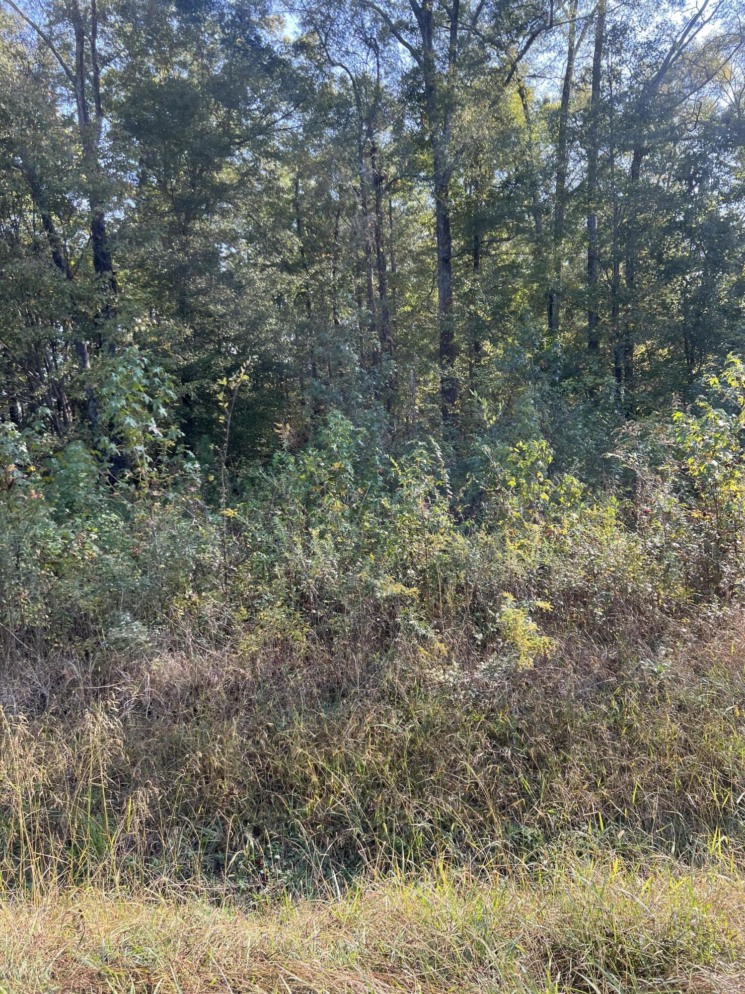 0 Southwest Carbondale Road Dalton, GA 30721 - Photo 9 of 21 IMG_3184