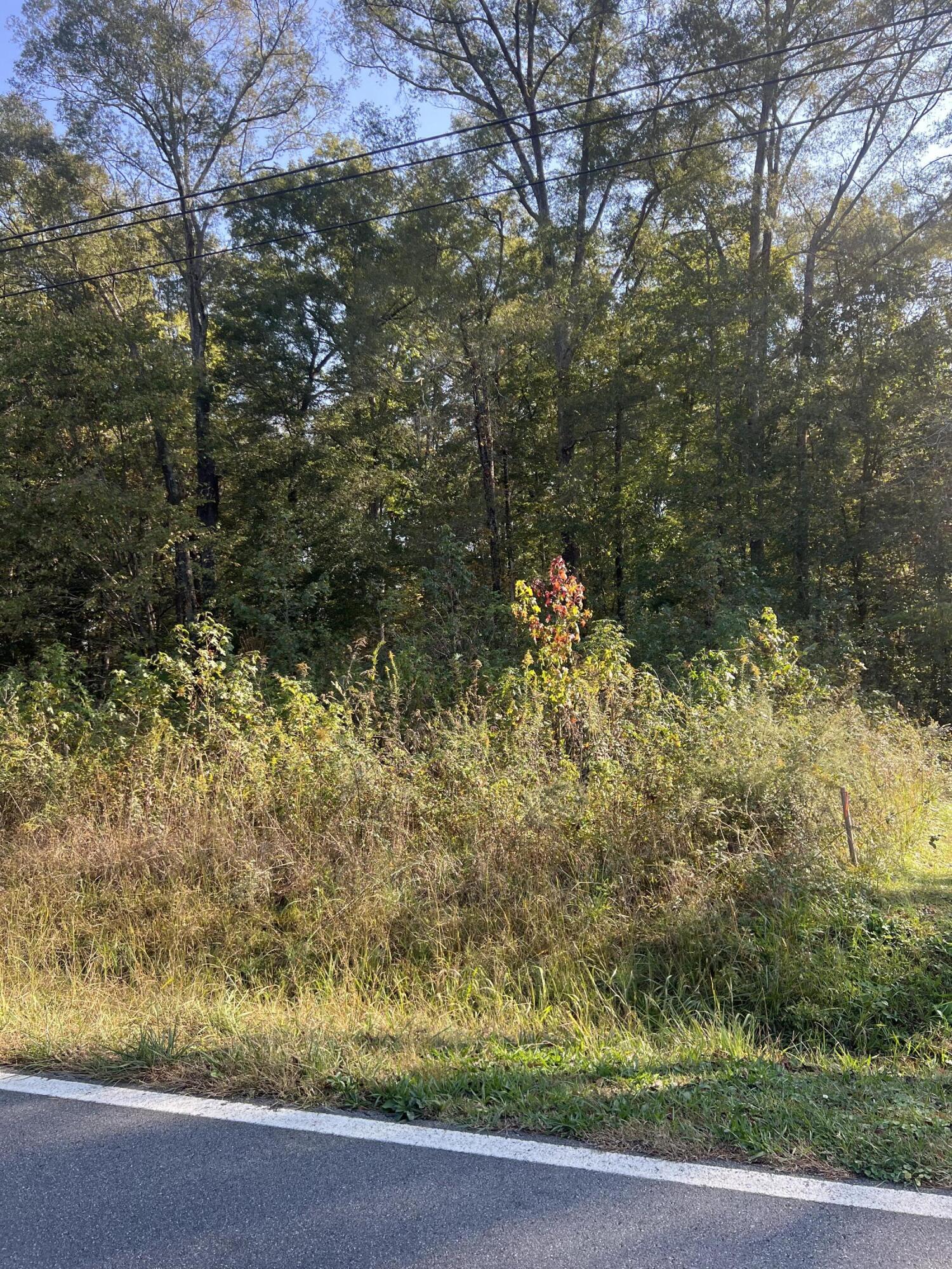 0 Southwest Carbondale Road Dalton, GA 30721 - Photo 10 of 21 IMG_3182